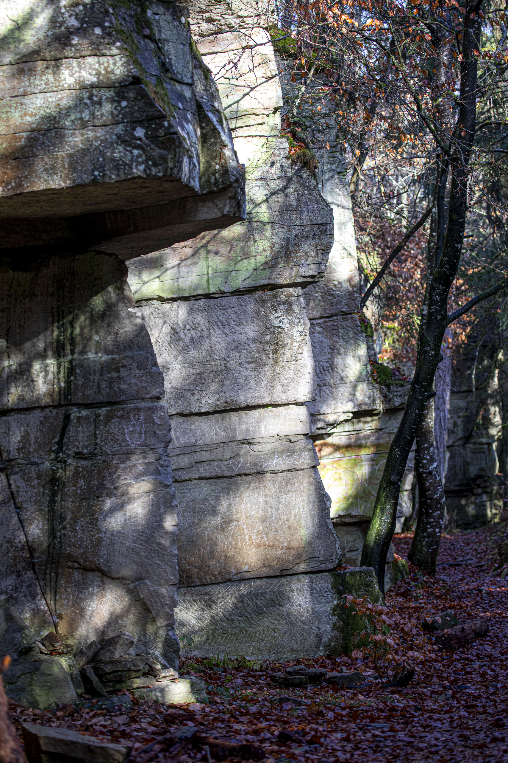 20251129121602 RD4 0761